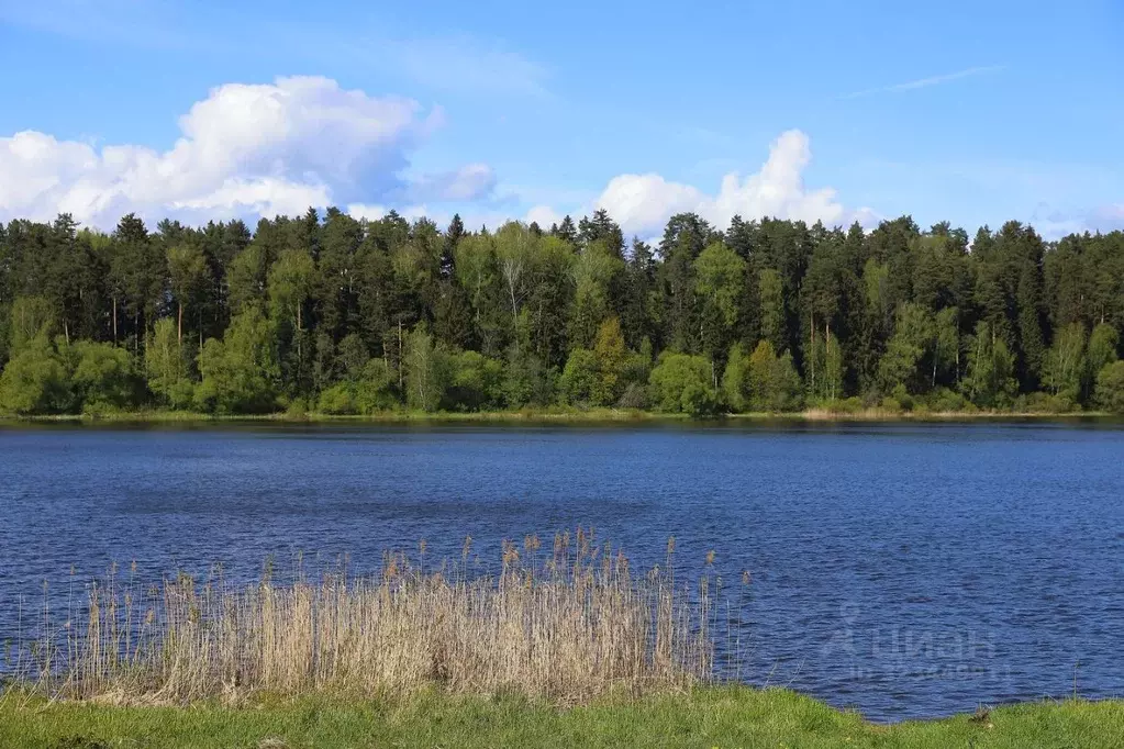 Участок в Московская область, Волоколамский муниципальный округ, КП ... - Фото 2