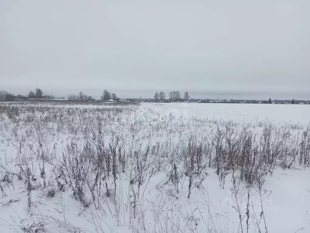 Участок в Костромская область, Костромской район, Шунгенское с/пос, д. ... - Фото 2