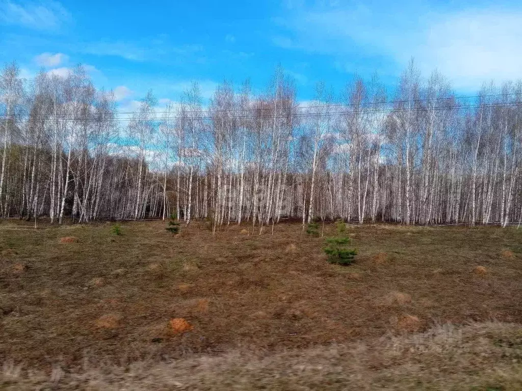 участок в нижегородская область, богородский муниципальный округ, д. . - Фото 1