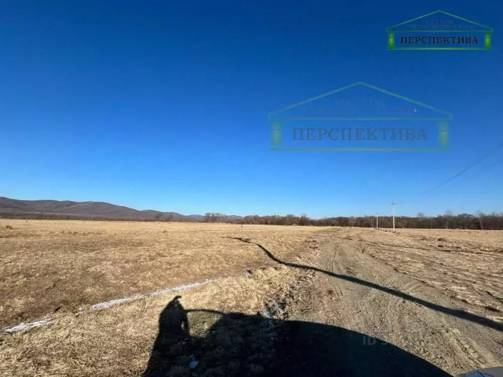 Участок в Приморский край, Артемовский городской округ, с. Ясное ул. ... - Фото 1