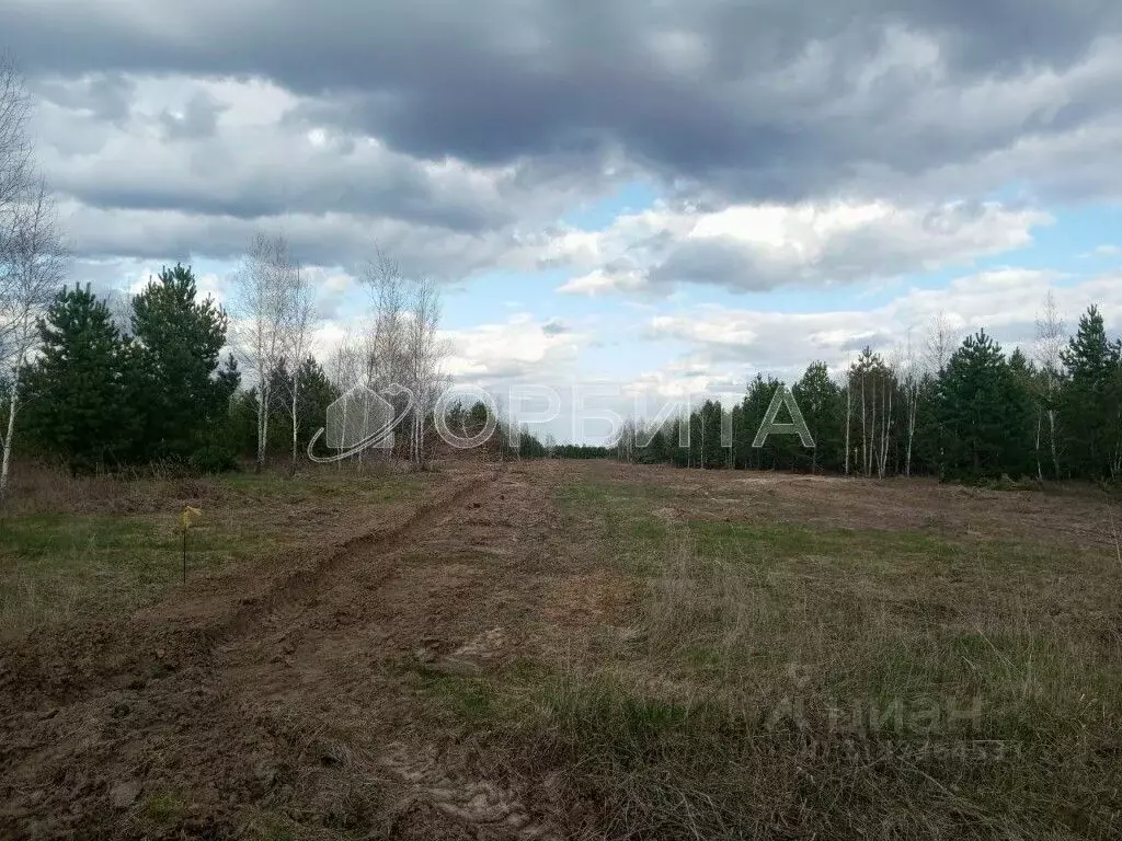 Участок в Тюменская область, Тюменский район, Новокаменский кп ул. ... - Фото 0