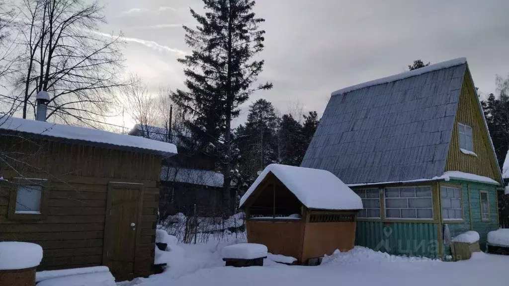 Участок в Свердловская область, Екатеринбург Химик КС, 78 (5.0 сот.) - Фото 1