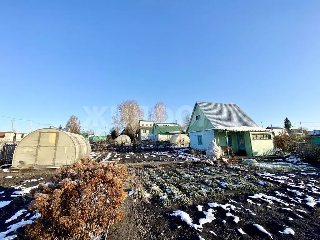 Дом в Новосибирская область, Тогучинский район, Горный рп, Новинка СНП ... - Фото 2