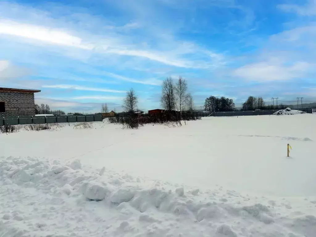 Участок в Московская область, Раменский муниципальный округ, Оттепель ... - Фото 1