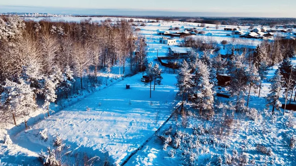 Участок в Ленинградская область, Ломоносовский район, Низинское с/пос, ... - Фото 1