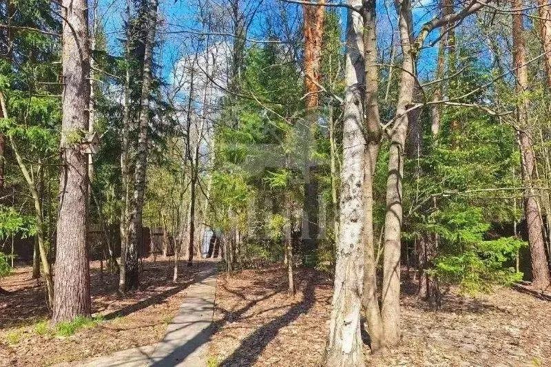 Участок в Московская область, Одинцовский городской округ, д. ... - Фото 2