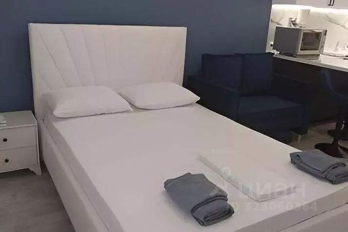 1-к кв. Московская область, Старая Купавна Богородский городской ... - Фото 1