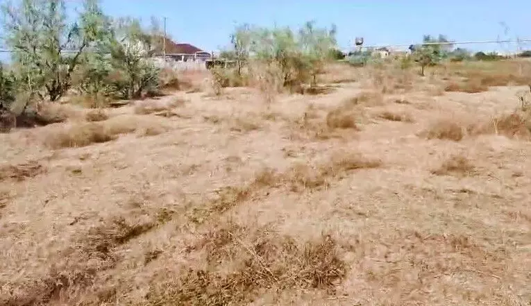 Участок в Краснодарский край, Темрюкский район, Новотаманское с/пос, ... - Фото 1