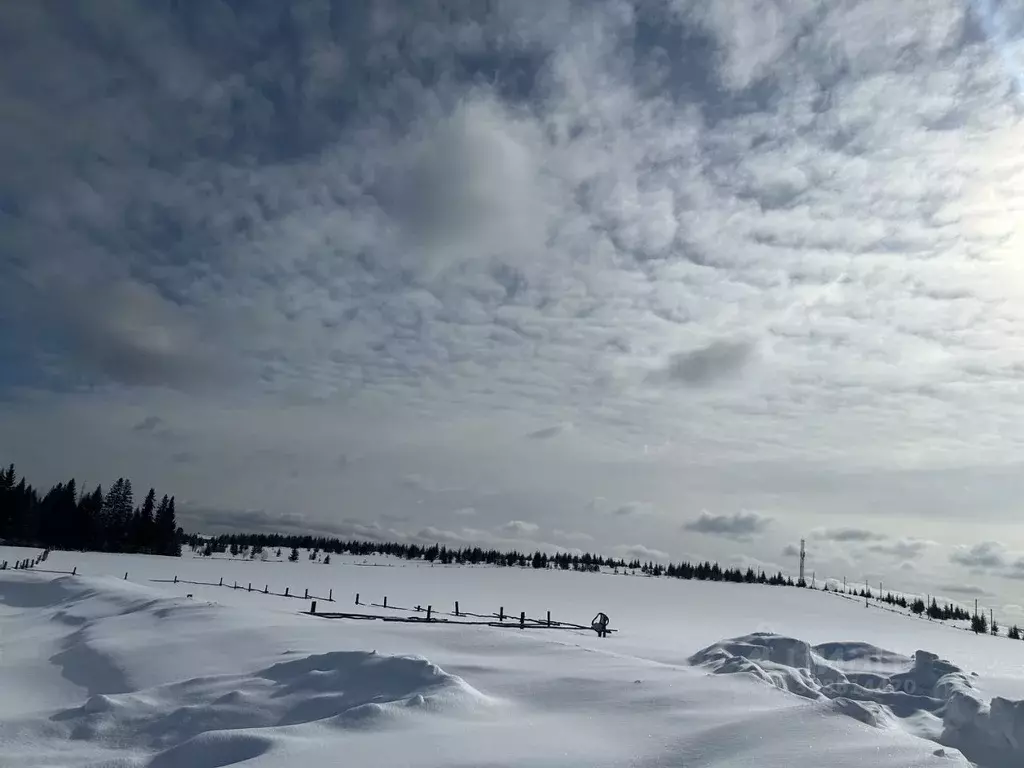 Участок в Пермский край, Кочевский муниципальный округ  (106.0 сот.) - Фото 1