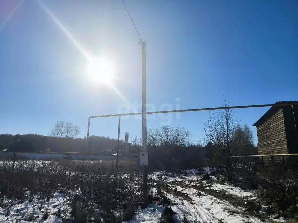 Участок в Новосибирская область, Новосибирский район, Толмачевский ... - Фото 1