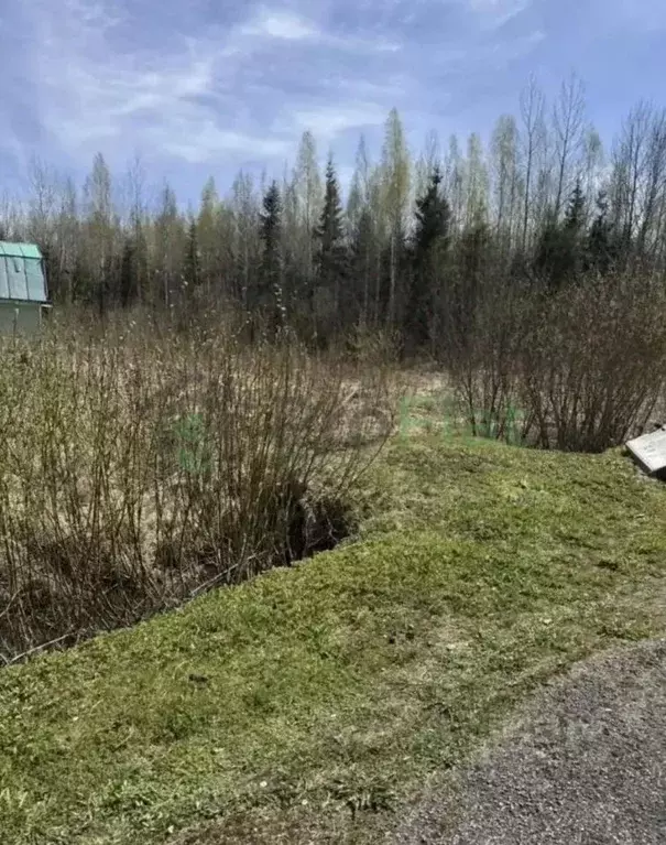 Участок в Ленинградская область, Тосненский район, Трубникоборское ... - Фото 2