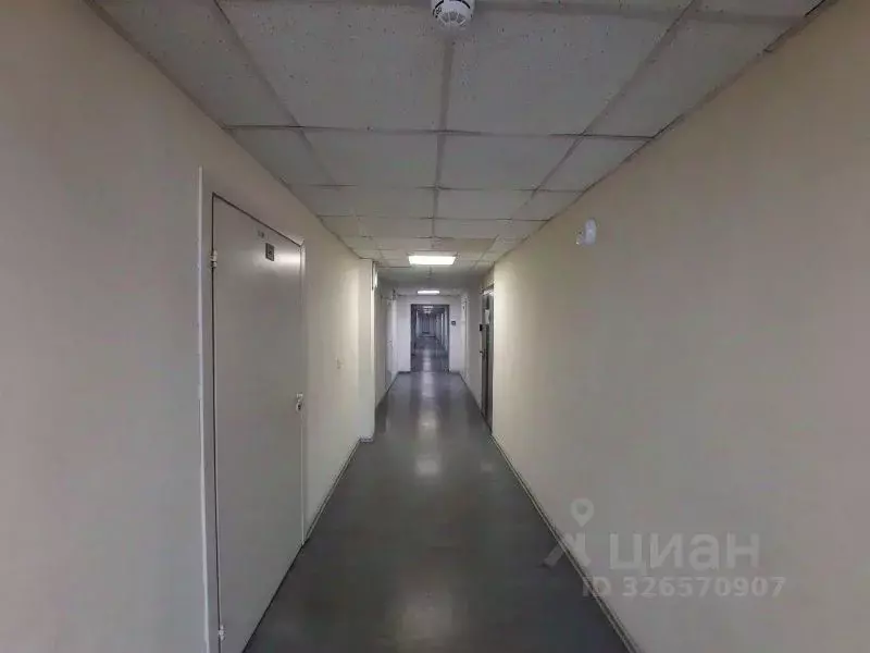 Офис в Санкт-Петербург пл. Конституции, 2 (38 м) - Фото 1