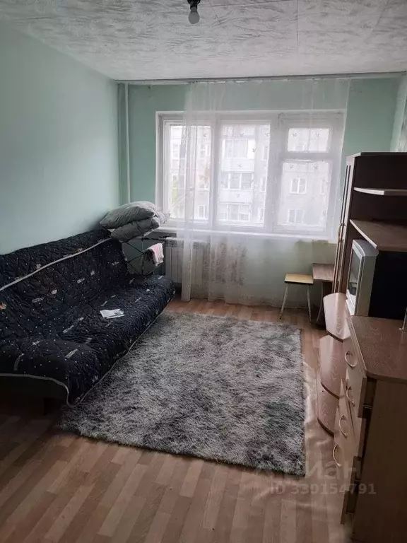 1-к кв. Красноярский край, Красноярск ул. 2-я Краснофлотская, 5 (18.0 ... - Фото 1
