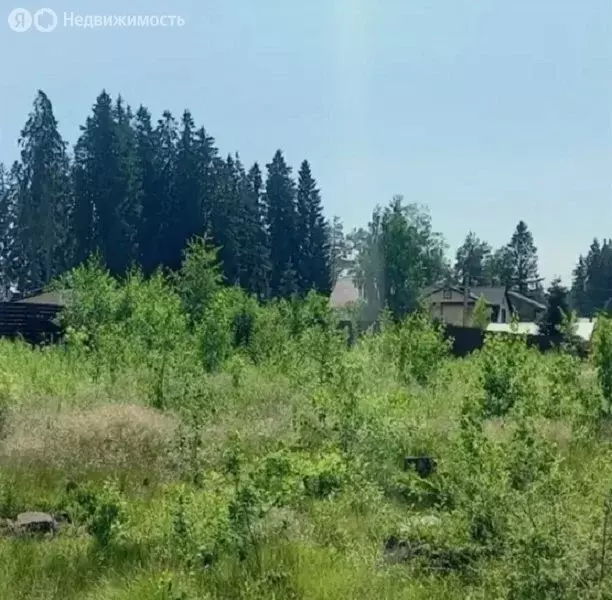 Участок в Выборгский район, Рощинское городское поселение, посёлок ... - Фото 0