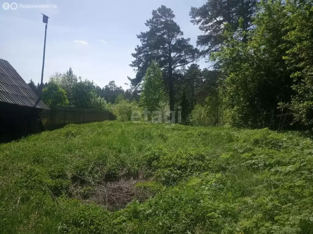 Участок в Преображенский сельсовет, деревня Саросека (888 м) - Фото 1