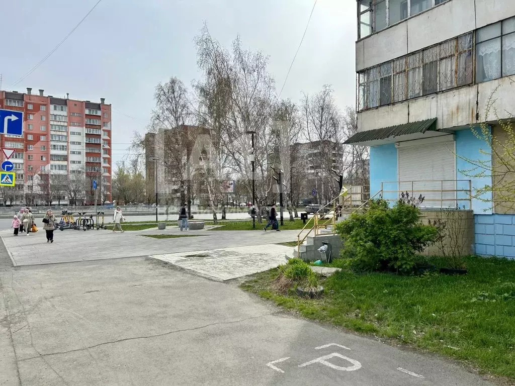 Помещение свободного назначения в Челябинская область, Челябинск ... - Фото 1
