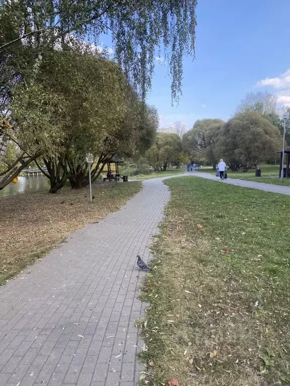 Комната Москва ул. Мусы Джалиля, 4К3 (18.0 м) - Фото 2