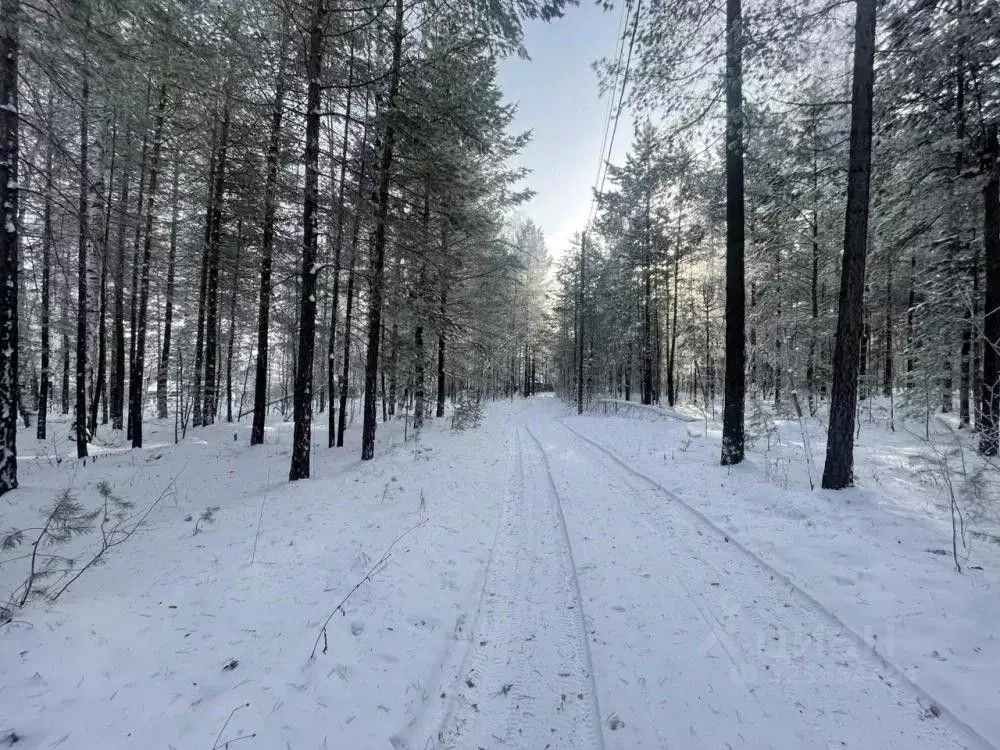 Участок в Иркутская область, Иркутский муниципальный округ, пос. Падь ... - Фото 2
