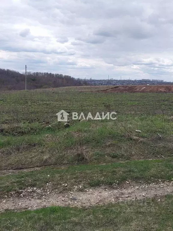Участок в Владимирская область, Суздальский район, Павловское ... - Фото 1