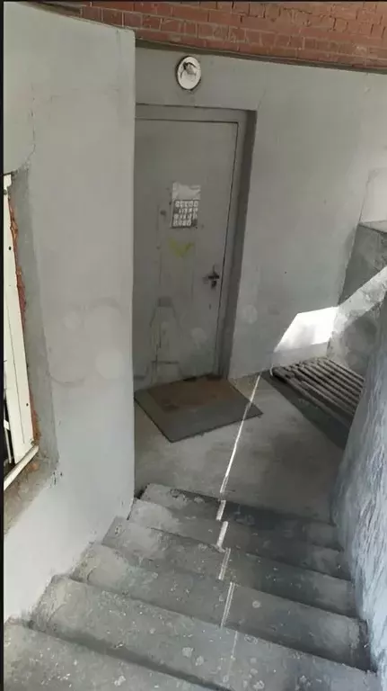 Помещение свободного назначения в Новосибирская область, Новосибирск ... - Фото 1