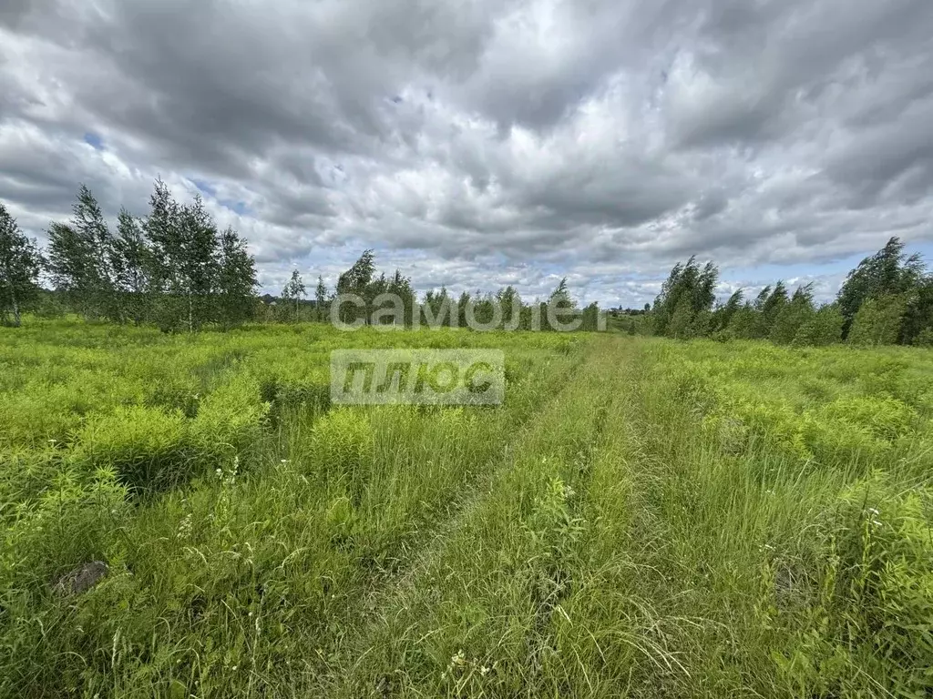 Участок в Брянская область, Брянский район, Добрунское с/пос, с. ... - Фото 1