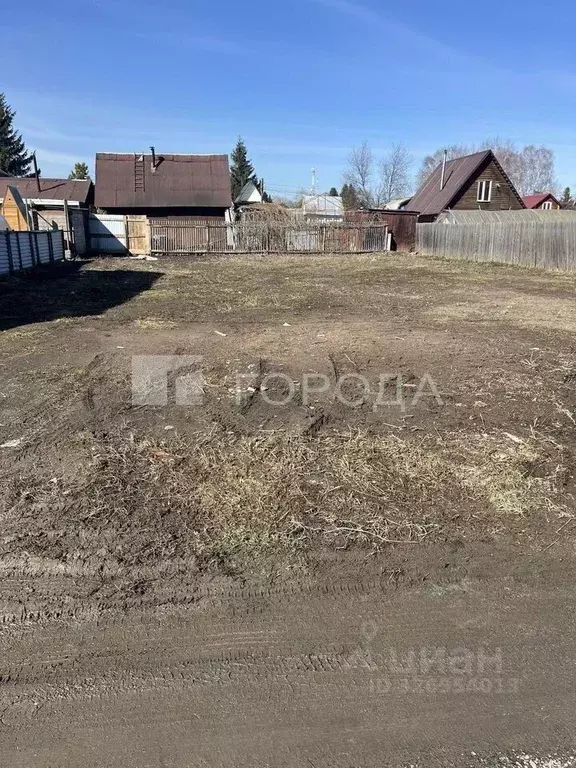 Участок в Новосибирская область, Коченевский район, Горняк СНТ 157 ... - Фото 1