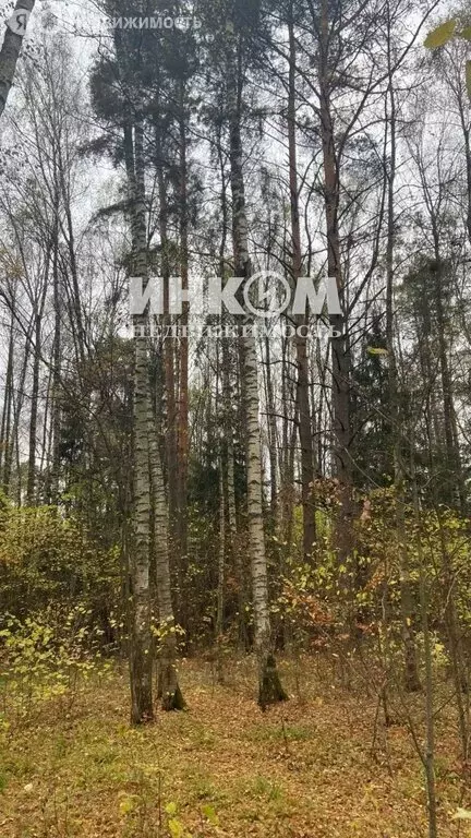 Участок в Московская область, муниципальный округ Чехов, деревня ... - Фото 1