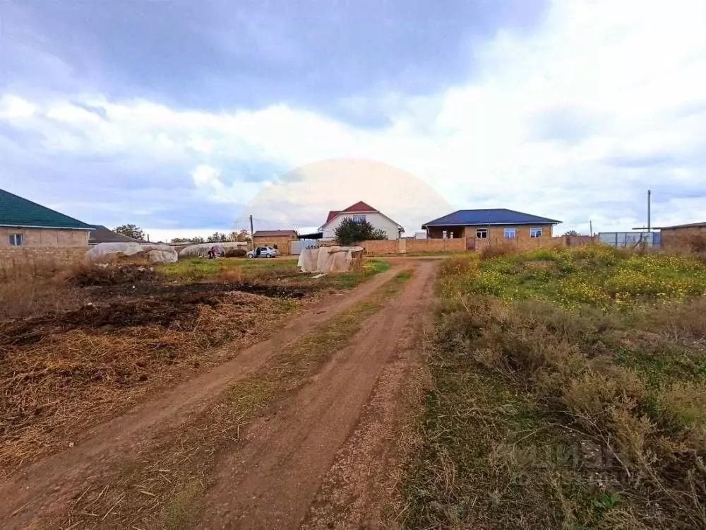 Участок в Крым, Сакский район, Митяевское с/пос, с. Шелковичное ул. ... - Фото 2