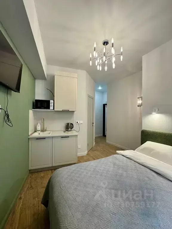 Студия Санкт-Петербург наб. Канала Грибоедова, 68 (14.0 м) - Фото 2