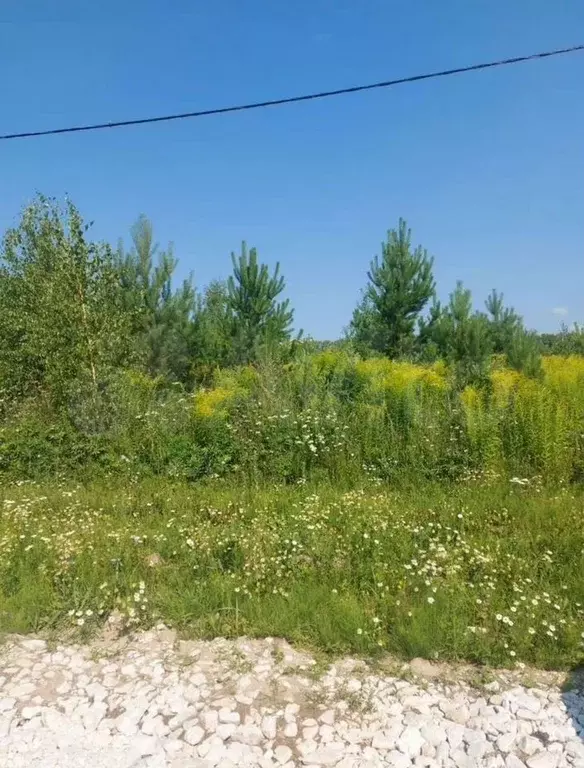 Участок 9 сот. (ИЖС) - Фото 1