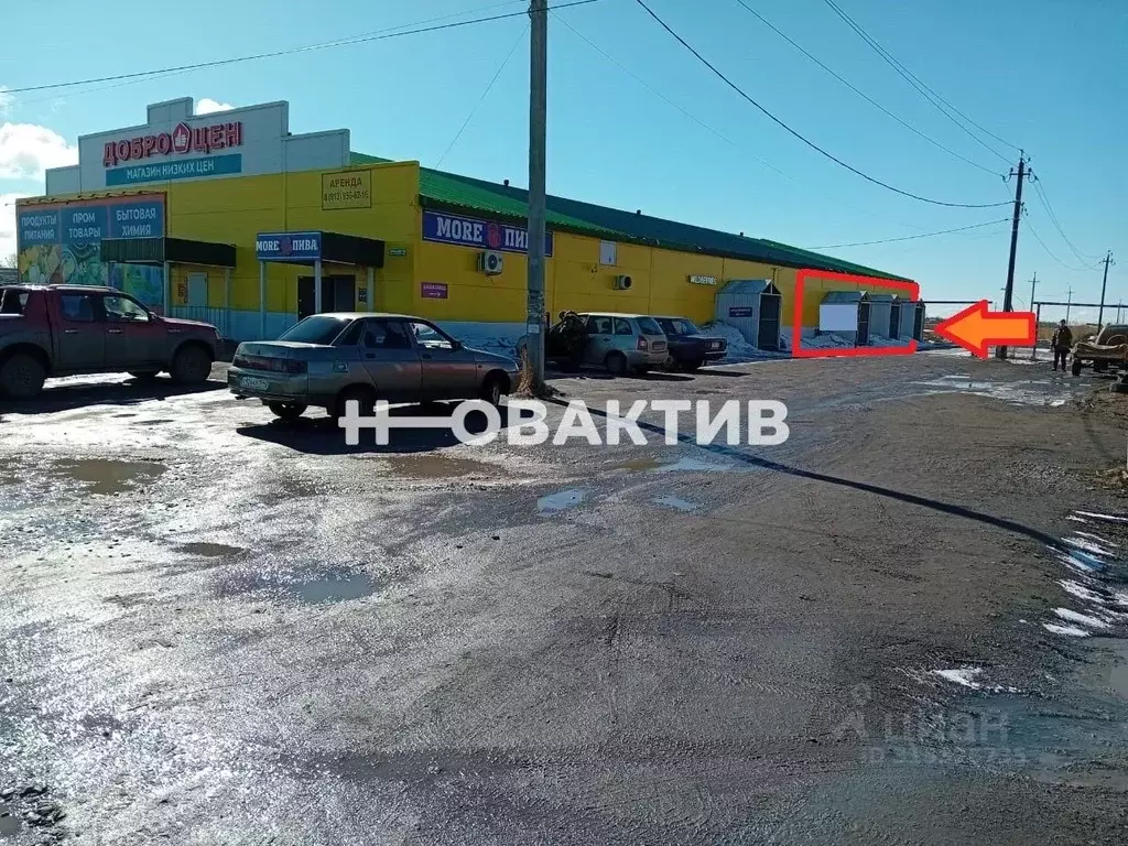 Торговая площадь в Новосибирская область, Купино Набережная ул., 118А ... - Фото 0