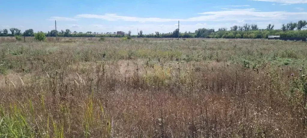 Участок в Ростовская область, Аксайский район, Мишкинское с/пос, Киров ... - Фото 1