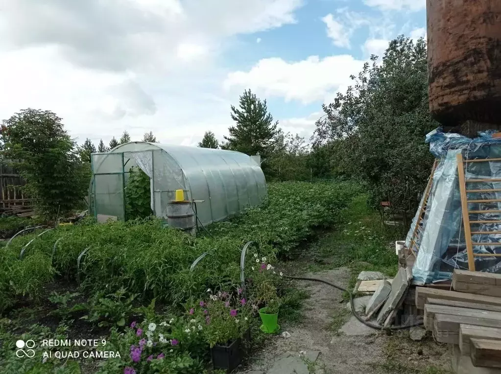 Дом в Свердловская область, Екатеринбург Озерки СНТ,  (58 м) - Фото 1