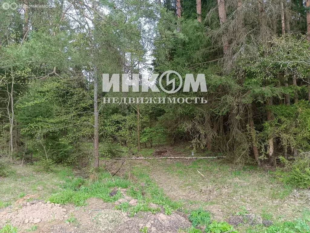 Участок в Московская область, городской округ Солнечногорск, квартал ... - Фото 1