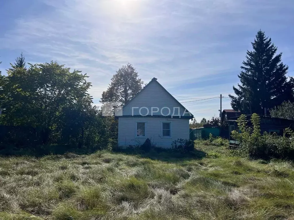 Дом в Новосибирская область, Колыванский район, Электрон СНТ пер. ... - Фото 1