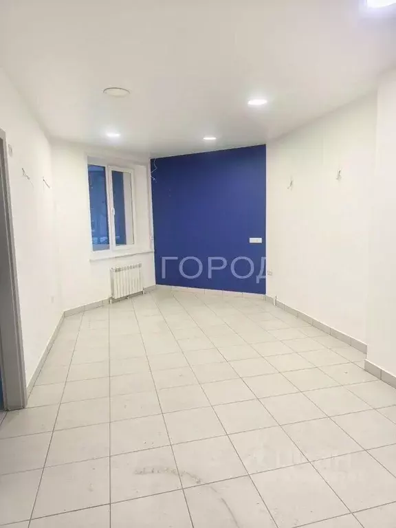 Помещение свободного назначения в Новосибирская область, Новосибирск ... - Фото 1