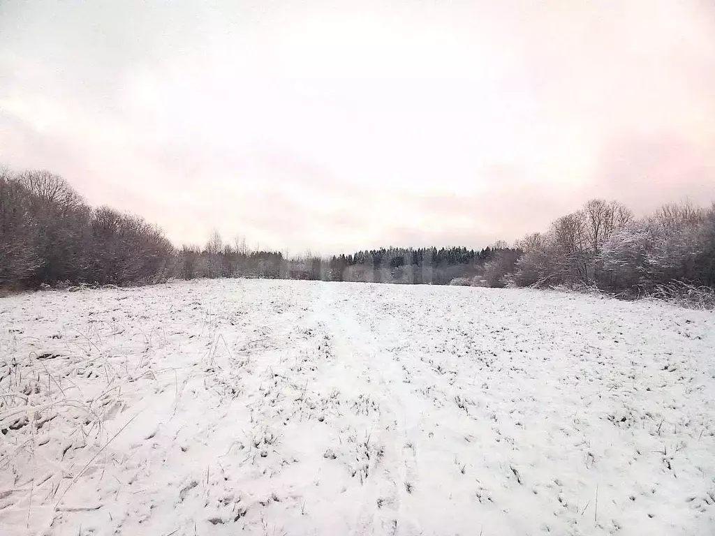 Участок в Кировская область, Слободской район, д. Стулово ул. ... - Фото 1