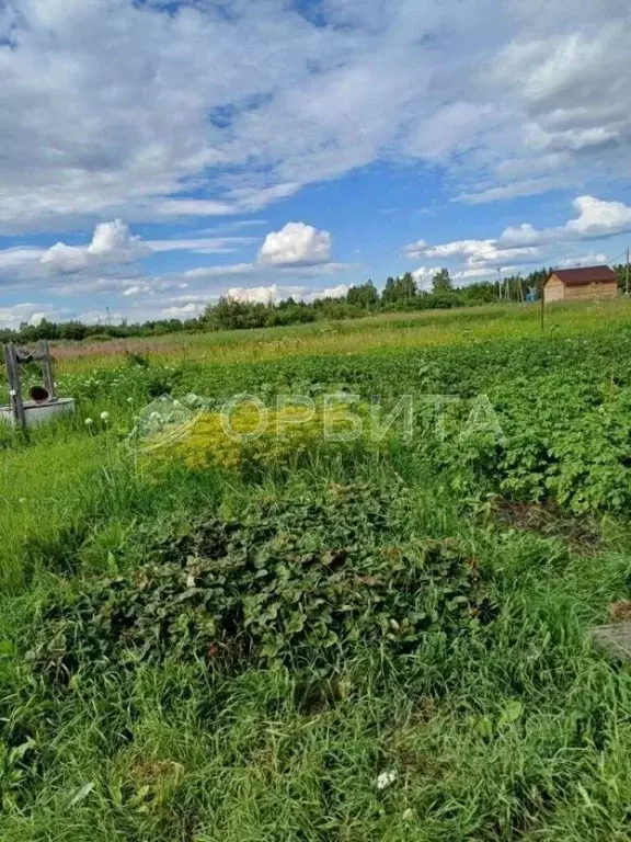 Участок в Тюменская область, Тюмень Большое Царево-2 СНТ,  (10.0 сот.) - Фото 1