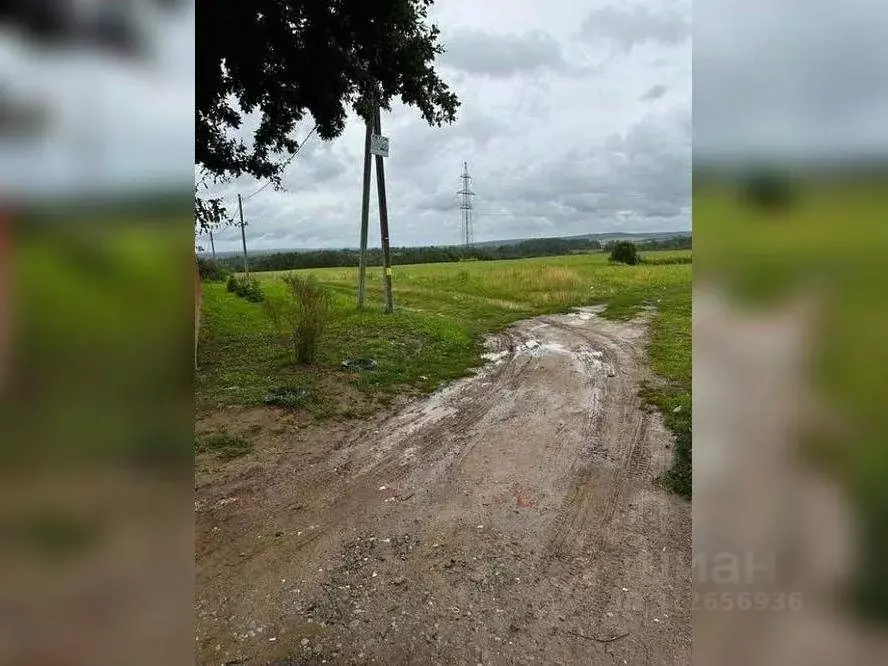 Участок в Московская область, Клин городской округ, д. Темново  (11.0 ... - Фото 0