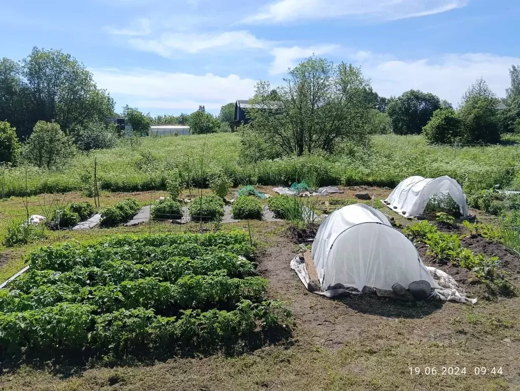 Участок в Тверская область, Осташковский муниципальный округ, д. Уницы ... - Фото 2