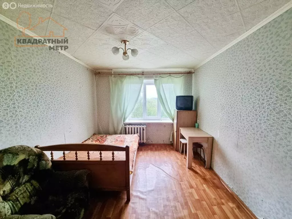 1-комнатная квартира: Димитровград, проспект Автостроителей, 55 (18 м) - Фото 1