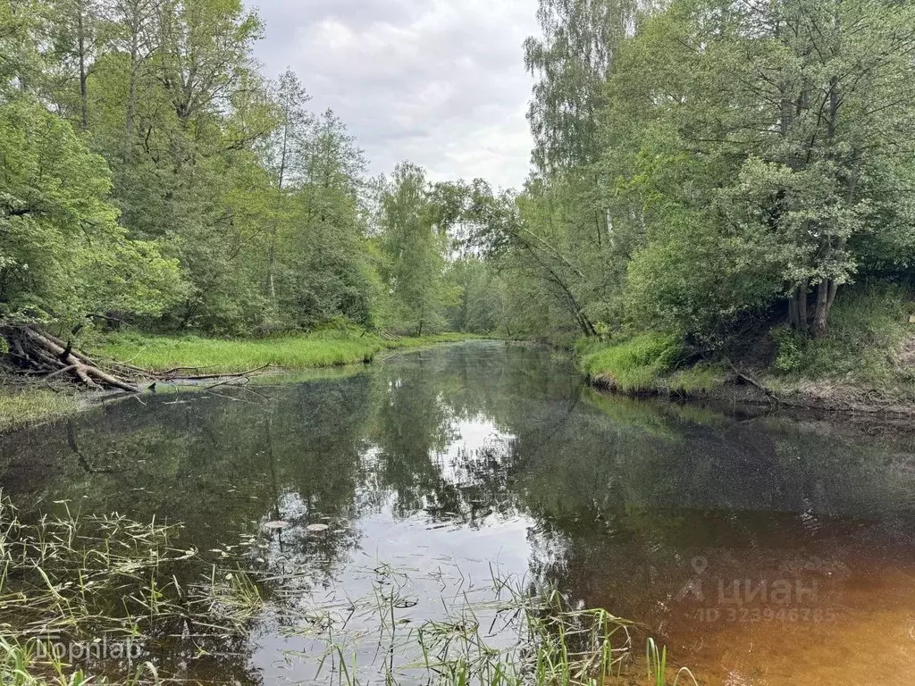 Участок в Владимирская область, Гороховецкий муниципальный округ, пос. ... - Фото 2
