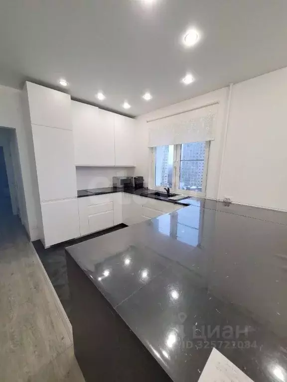 3-к кв. Московская область, Солнечногорск городской округ, Голубое пгт ... - Фото 2