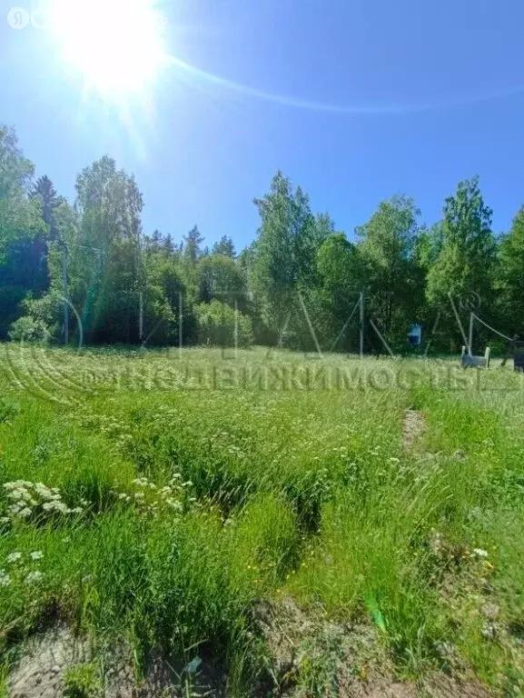 Участок в Выборгский район, Каменногорское городское поселение, СНТ ... - Фото 0