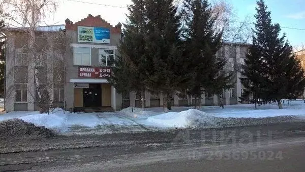 Помещение свободного назначения в Омская область, с. Одесское ул. ... - Фото 1