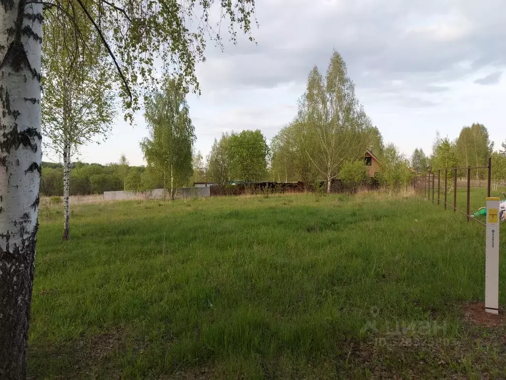 Участок в Московская область, Луховицы ул. Славянская (12.0 сот.) - Фото 2