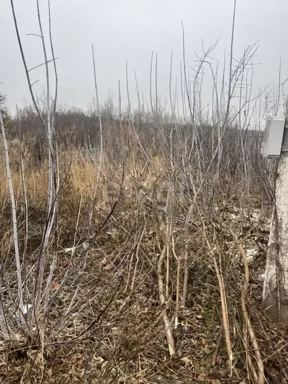 Участок в Белгородская область, Старый Оскол ул. Ленина (15.0 сот.) - Фото 0