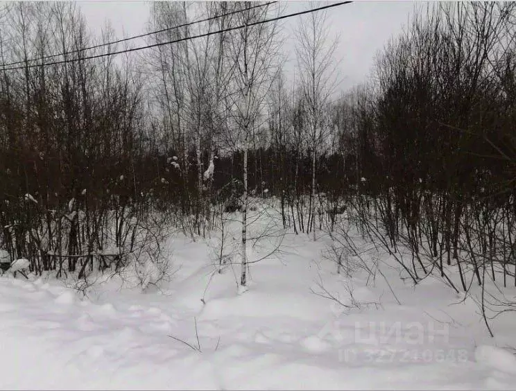 Участок в Московская область, Куровское Орехово-Зуевский городской ... - Фото 1