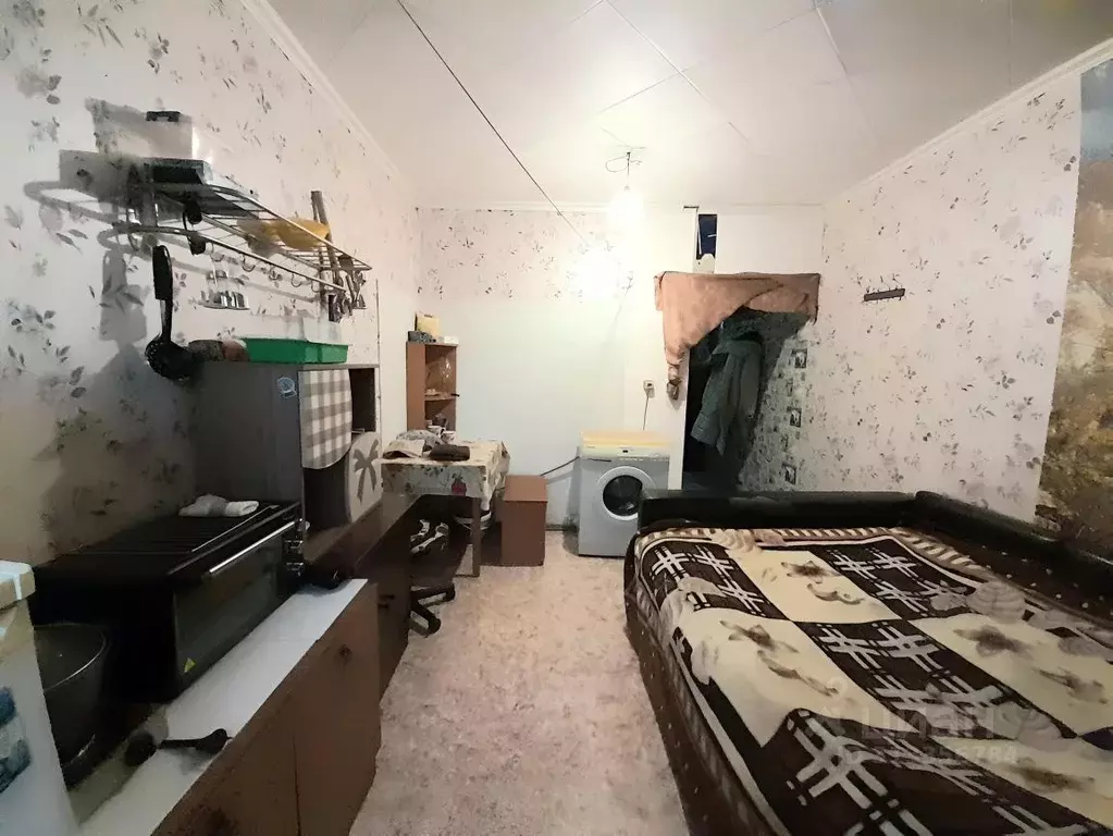 Студия Мурманская область, Апатиты ул. Гладышева, 23 (22.4 м) - Фото 1