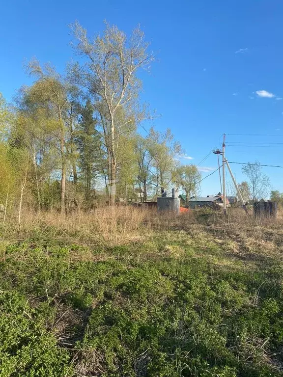 Участок в Новосибирская область, Новосибирский район, Криводановский ... - Фото 0